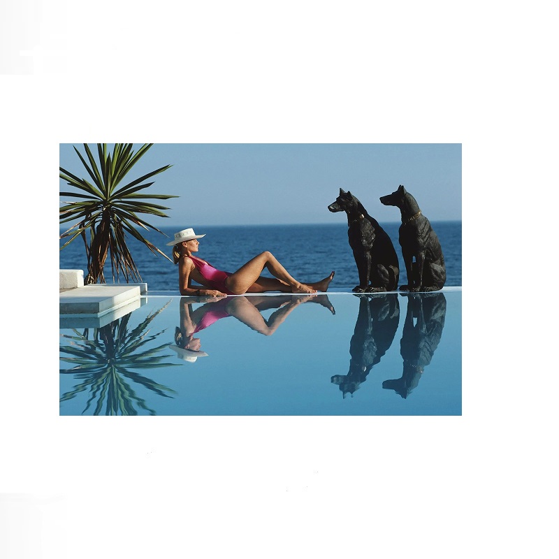 Retro Poolside Host Luxury Lif - Luxury Lifestyle Living avaliação e preço